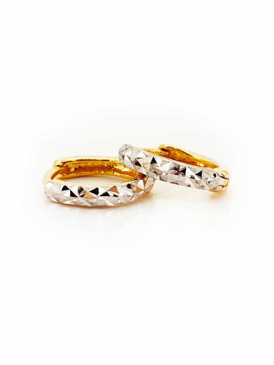 916 2 Tone Earrings