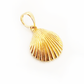 916 Shell Pendant